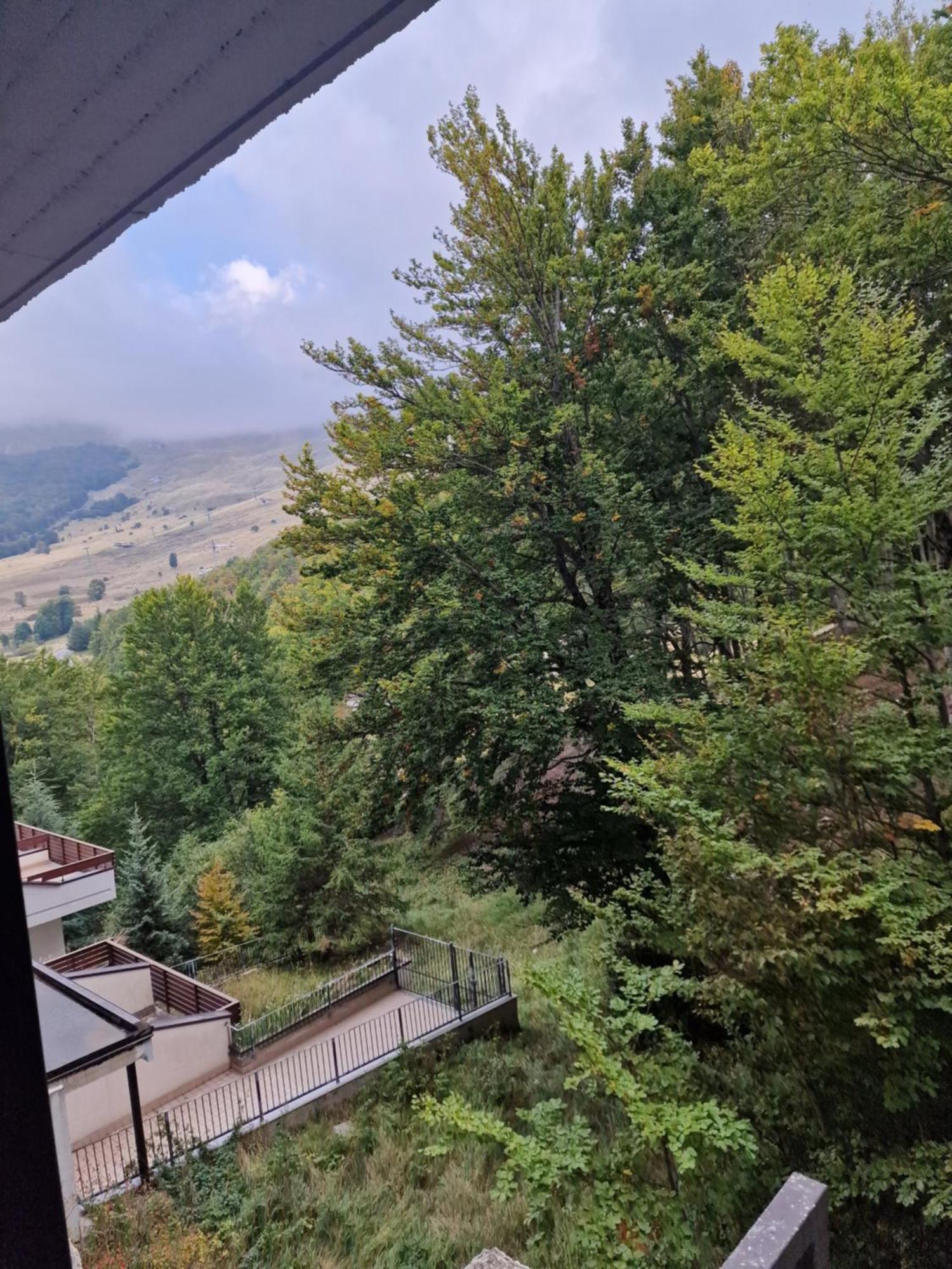 Prati di TivoLa Tana Del Capriolo公寓 外观 照片